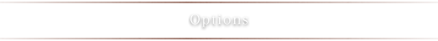 Options