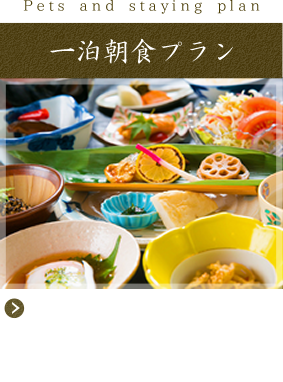 一泊朝食プラン