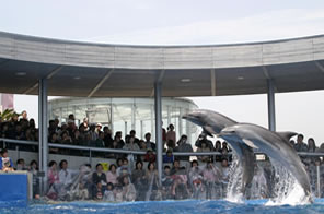 大分マリーンパレス水族館うみたまご