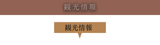 観光情報