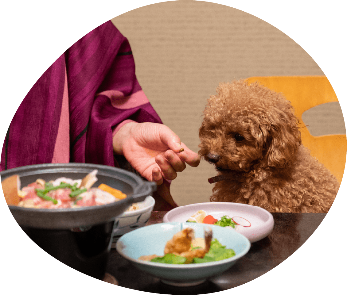 美味しいお料理をワンちゃんと一緒に