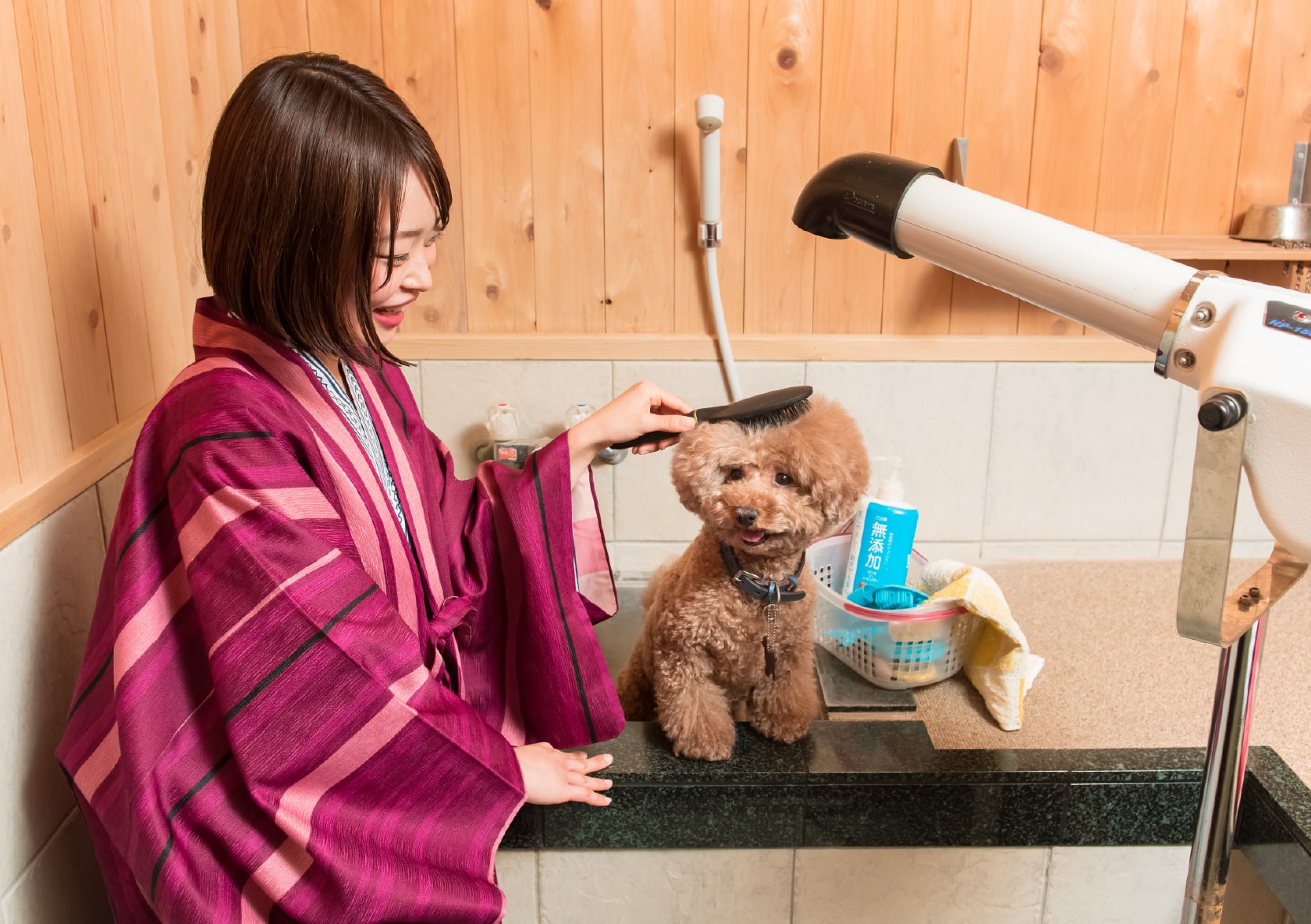 ペット専用温泉「わんこの湯」