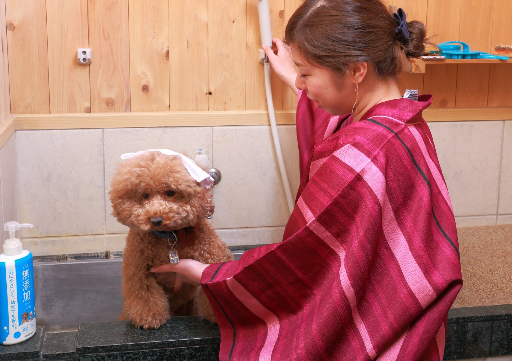 ペット専用温泉「わんこの湯」