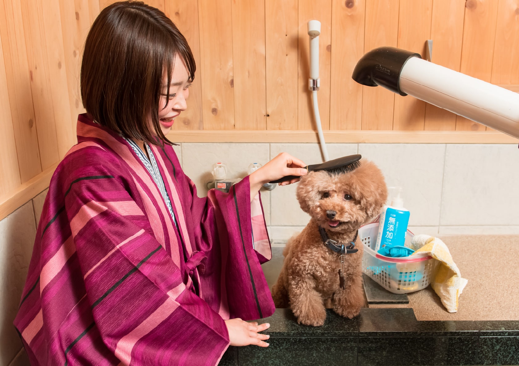 ペット専用温泉「わんこの湯」