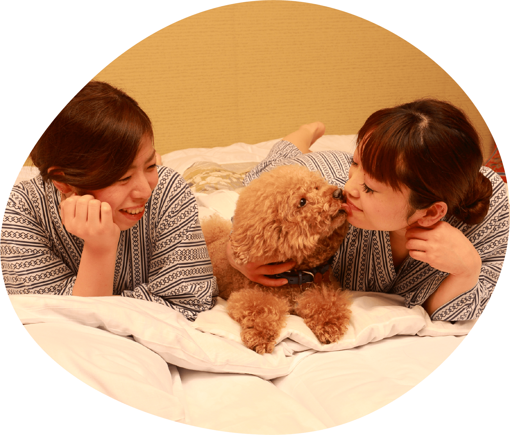 ワンちゃんと楽しむ旅行を応援