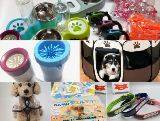 ワンちゃんと泊まれる宿泊プラン