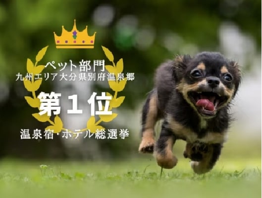 ワンちゃんと泊まれる宿泊プラン