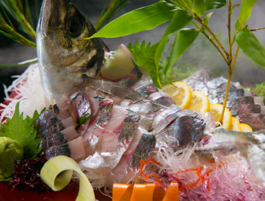 ワンちゃんと泊まれる宿泊プラン