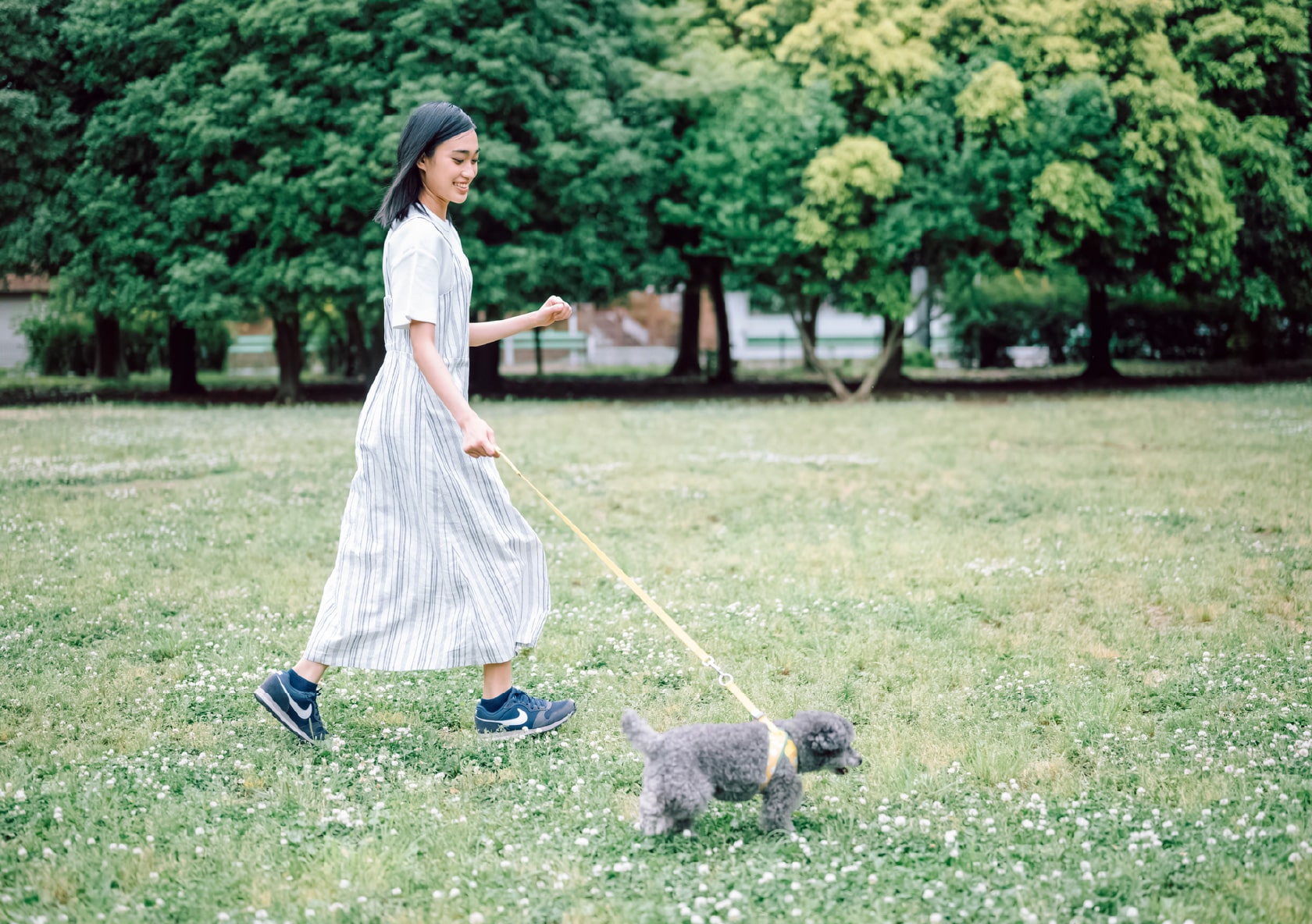 ワンちゃんと行ける観光スポット