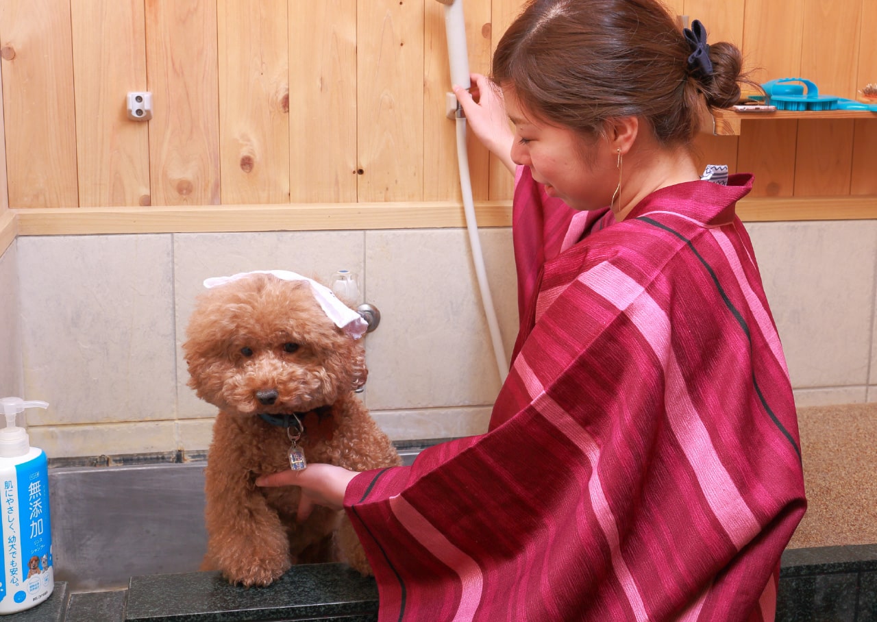 ペット専用温泉「わんこの湯」