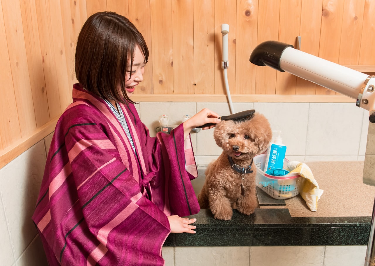ペット専用温泉「わんこの湯」
