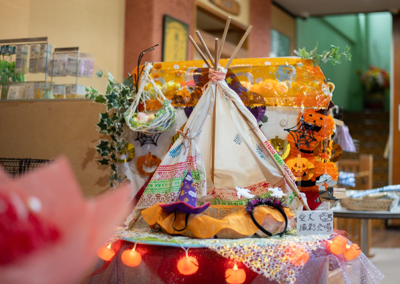 ワンちゃん用フォトブース