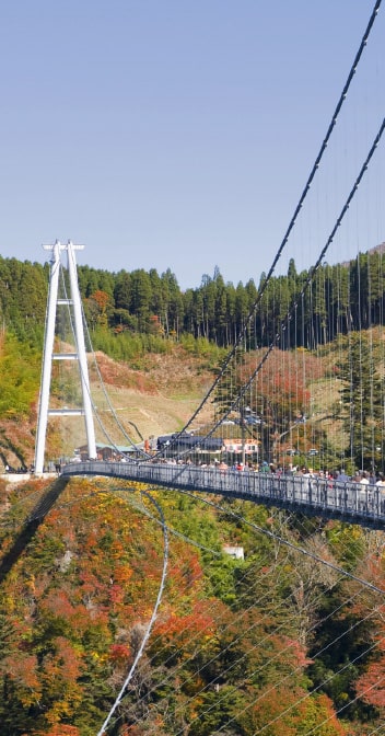 九重“夢”大吊橋