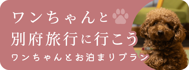 ワンちゃんと別府旅行に行こう
