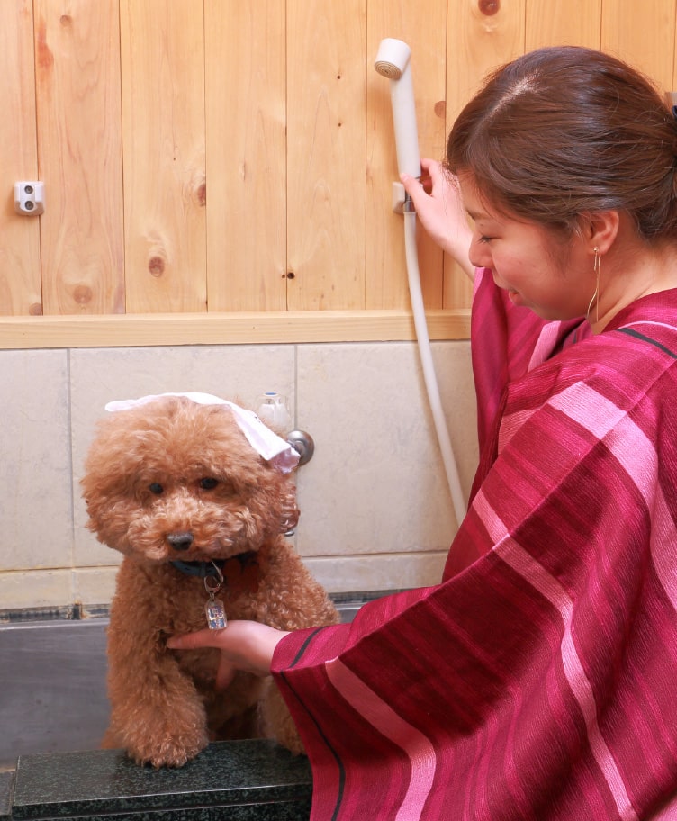 ペット専用温泉「わんこの湯」
